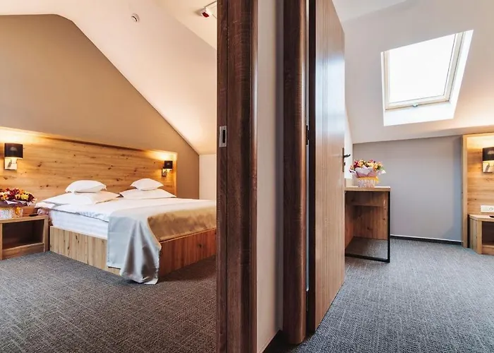 Hotel Domnitei